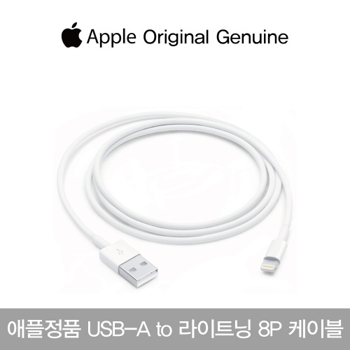 Apple 정품 USB-A to Lightning 8P 케이블